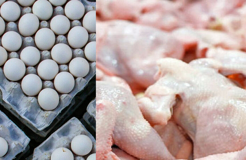 توزیع روزانه ۵۵۰ تن تخم مرغ و ۱۲۰۰ تن مرغ گرم در تهران