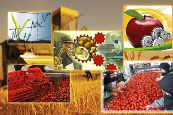 اختصاص ۱۴ پروژه نقشه جهش تولید به توسعه بخش کشاورزی زنجان