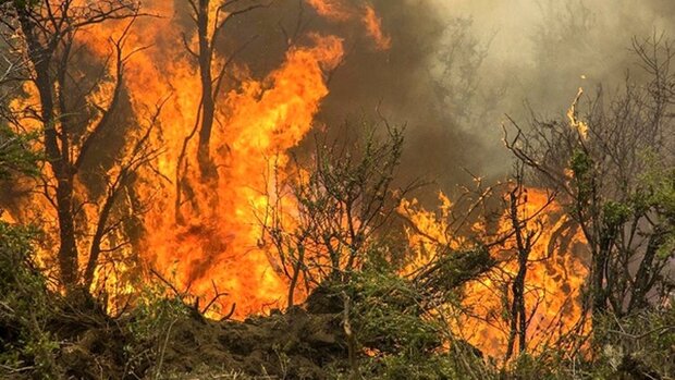 محبت خانی اعلام کرد: خطر آتش سوزی در مناطق چهارگانه