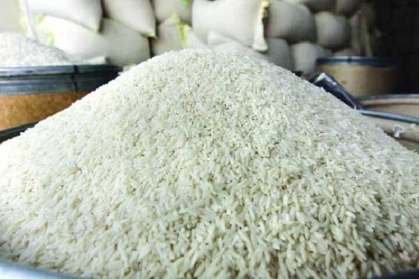 معاون گمرک ایران اعلام کرد: واردات برنج از اول شهریور ممنوع می‌شود