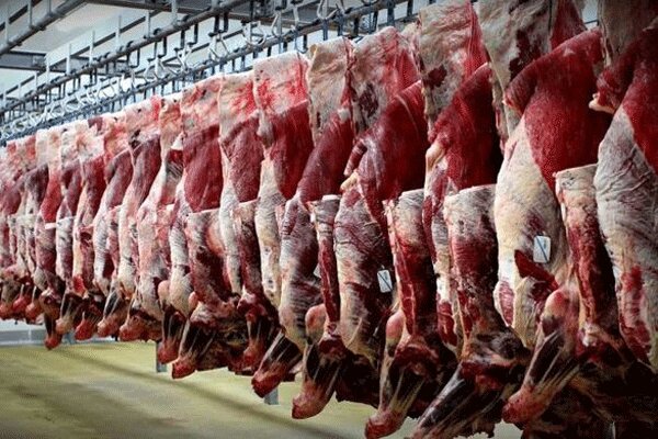 فروردین امسال، تولید گوشت قرمز دو درصد افزایش یافت