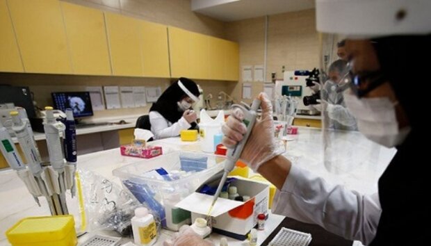 اولین بار ویروس کرونا در ایران کجا تشخیص داده شد