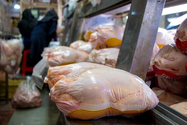 نائب رئیس کانون سراسری مرغداران گوشتی مطرح کرد: یک پیشنهاد برای حل مشکل گرانی مرغ