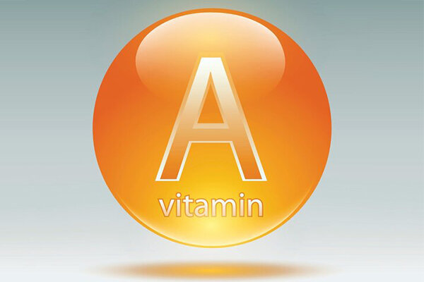 ویتامین A موجب چربی سوزی در سرما می شود
